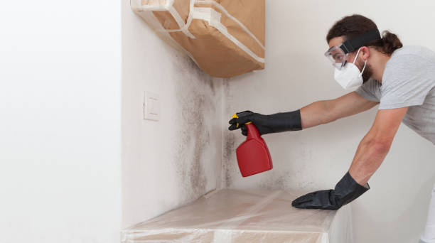 Professional Attic Mold Removal technician working in Broadway, NC
